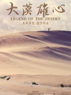 热播电视剧